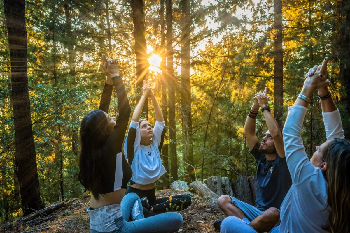 Euphoria Retreat - Image 7