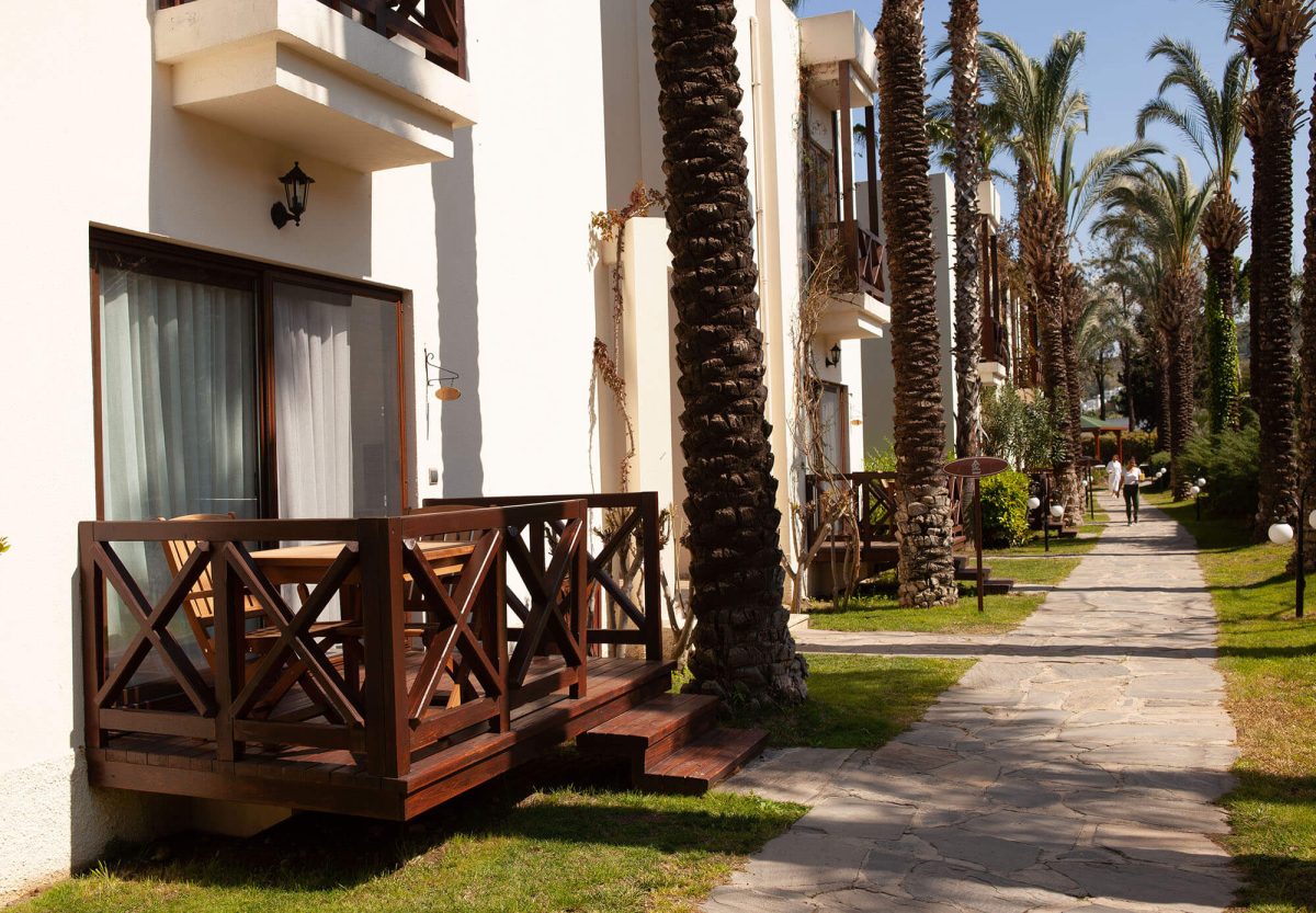 Mental Health Programme at TheLifeCo Bodrum - Image 6