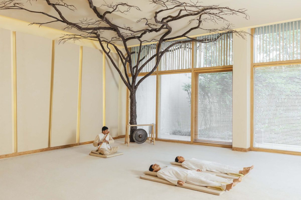 Six Senses Vana - Image 6